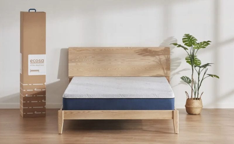 ecosa vital mattress