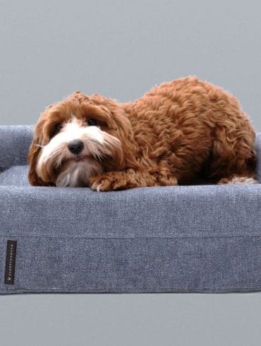 Sleeping Duck Dog Bed Review 4 sleeping duck dog bed review