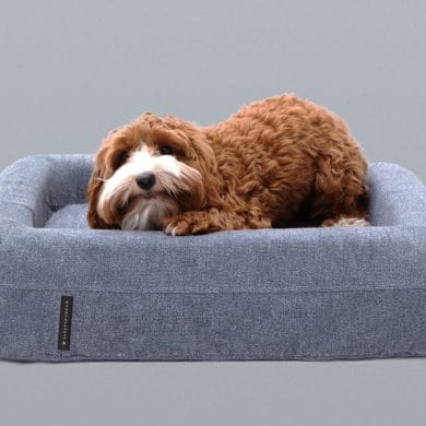 sleeping duck dog bed review
