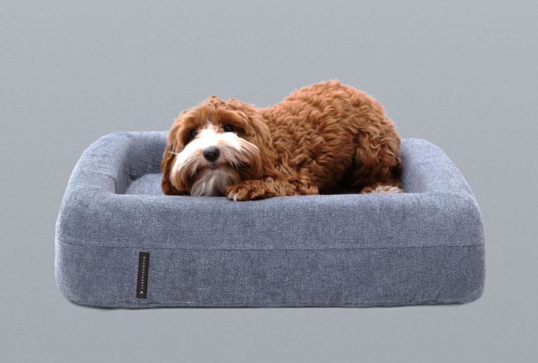 sleeping duck dog bed review