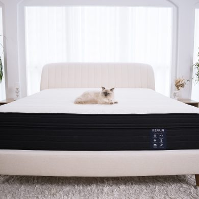 origin upholstered bed frame review