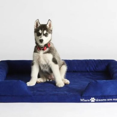 sleep republic dog bed review