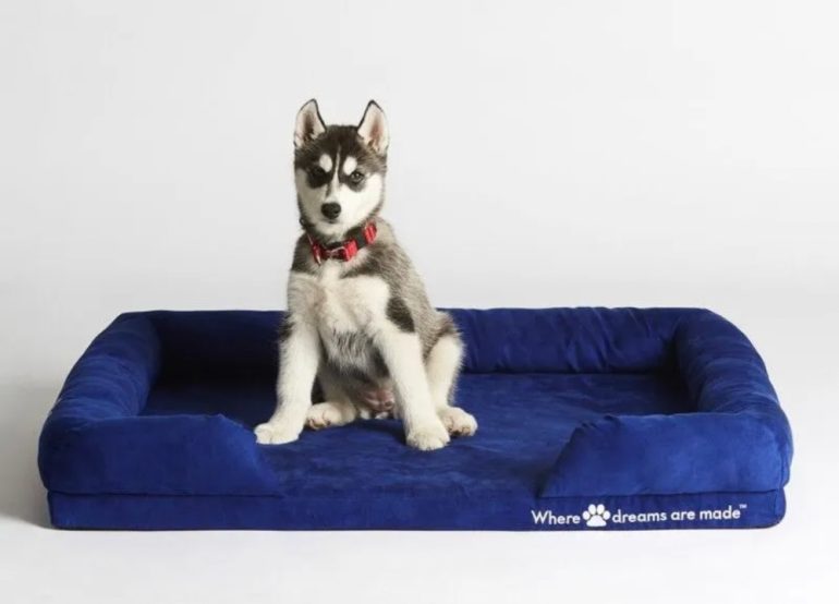 sleep republic dog bed review