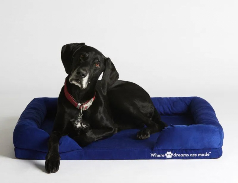 sleep republic dog bed